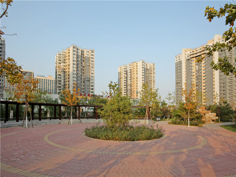 金隅康惠园3号院4号楼1305