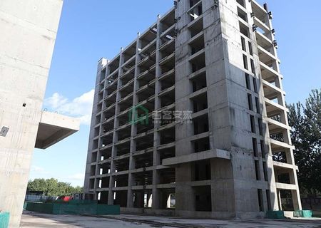 汽车生产基地内使用权及在建工程