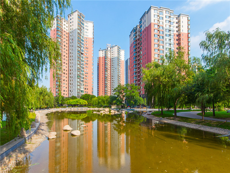 金星园