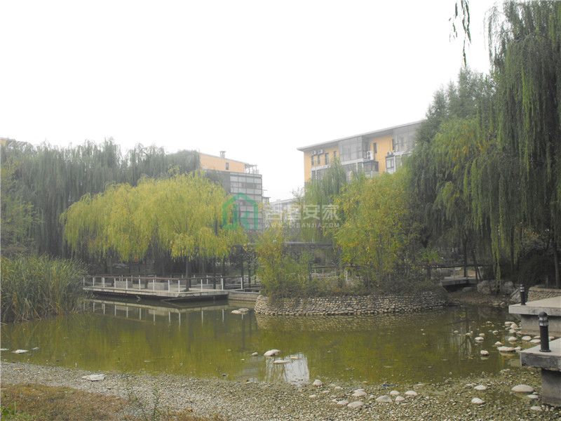 229769cc-08aa-4f08-85e9-981731cd892e