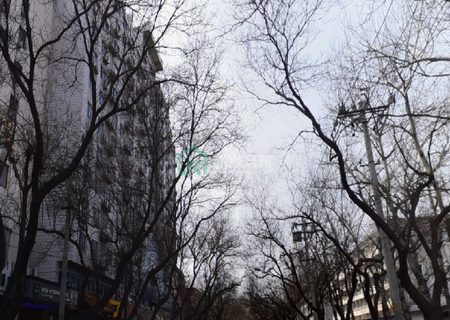 中成大厦2号楼1110室