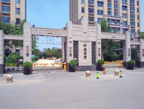 金成府