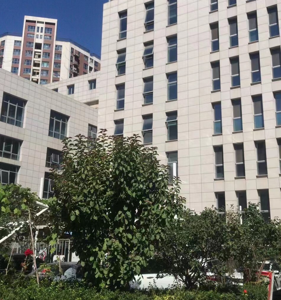 南方庄乙56号院 土地及建筑物