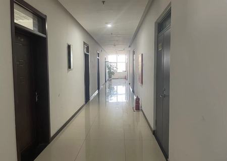 双桥万达广场 8层（使用权）