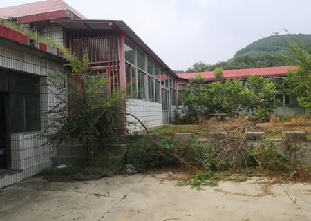 西台上村北 土地、地上建筑及其附属资产