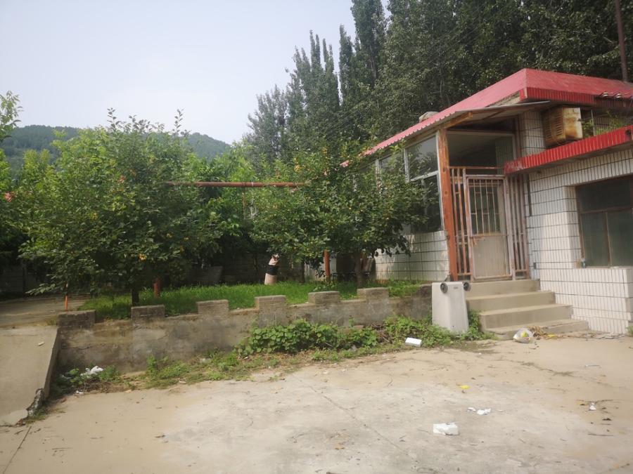 西台上村北 土地、地上建筑及其附属资产