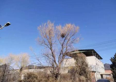 北宫东路35号院 1幢1至3层