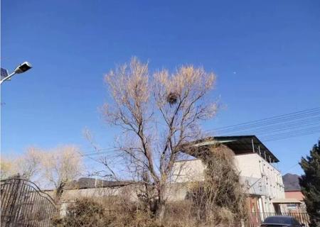 北宫东路35号院 3幢1层