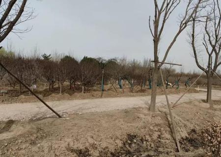 花木城 土地使用权