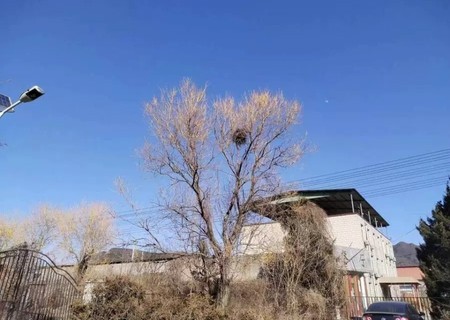 北宫东路35号院 3幢1层