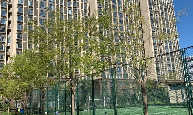 广华4