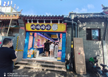 南锣鼓巷20号，11处商业房地产及所属土地使用权（共11套）