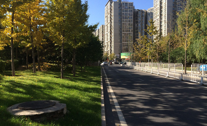 实景图