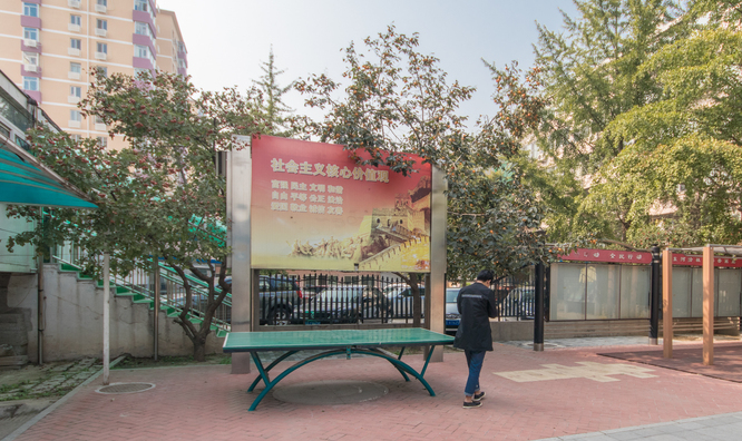 实景图