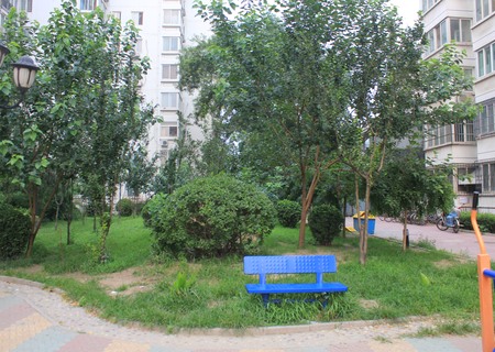 实景图
