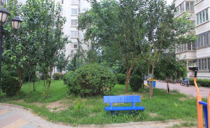 实景图