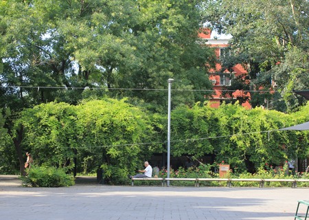 实景图