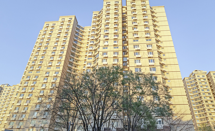实景图