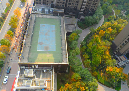 实景图