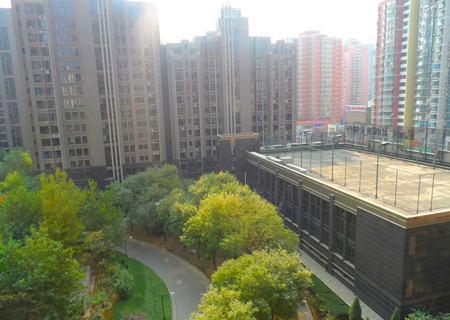实景图