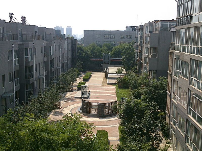 实景图