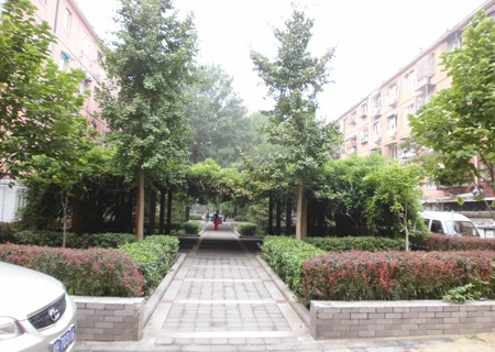 实景图