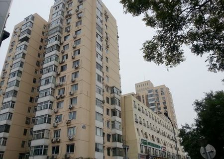 实景图