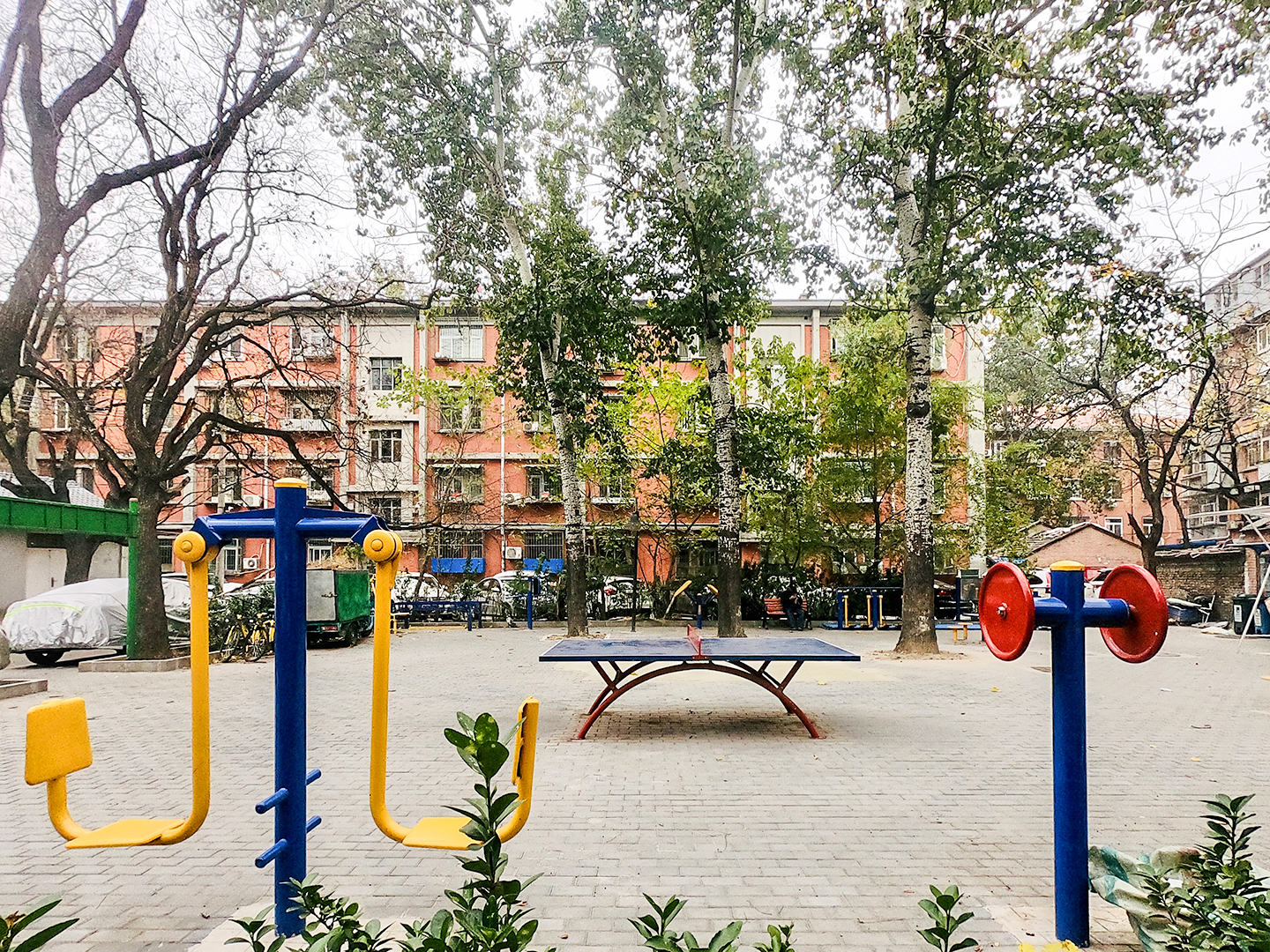 实景图
