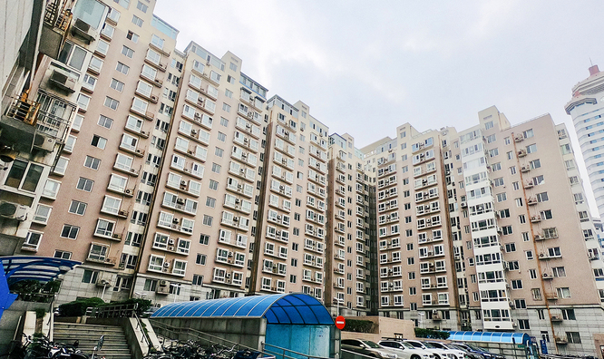 实景图