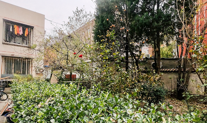 实景图