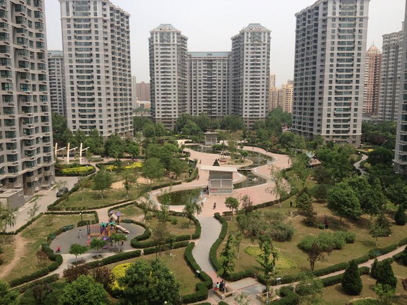 实景图