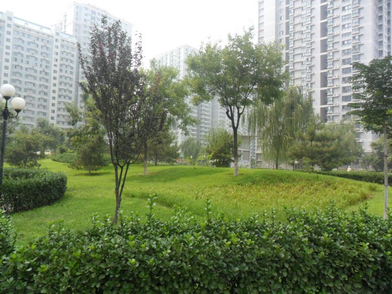 实景图