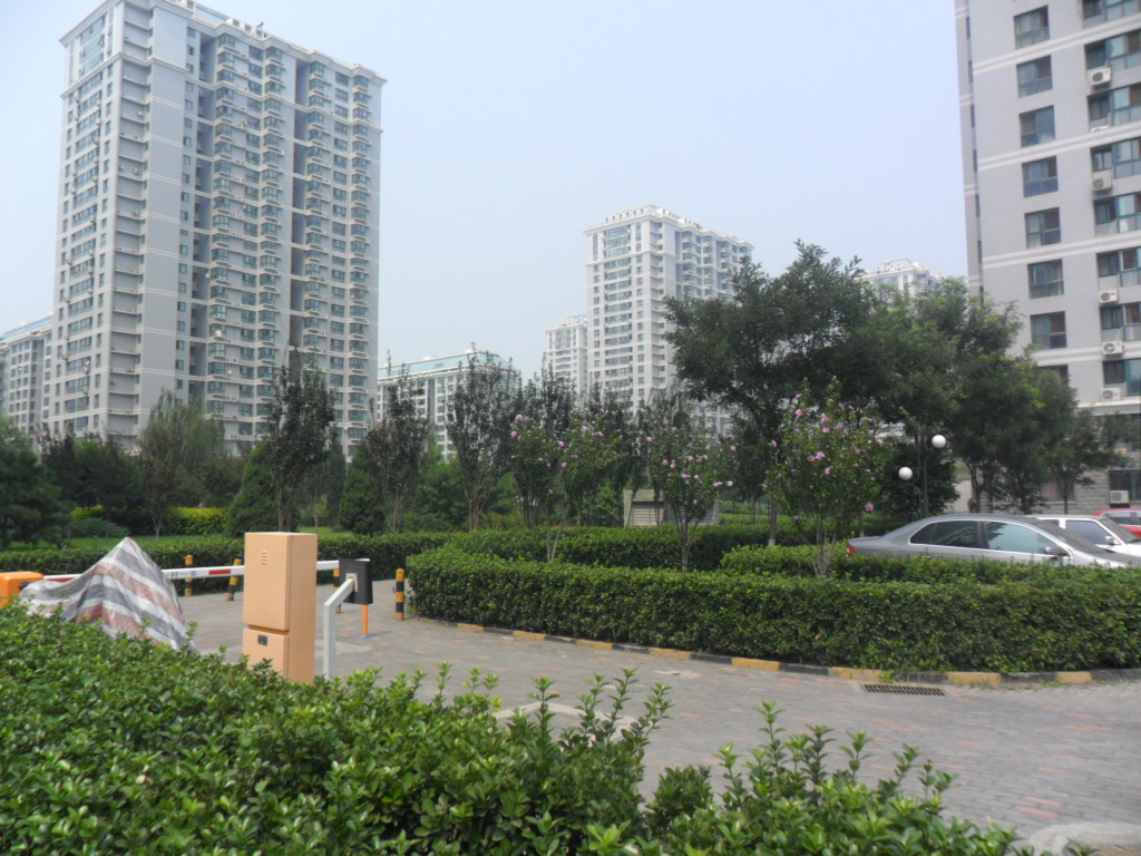 实景图