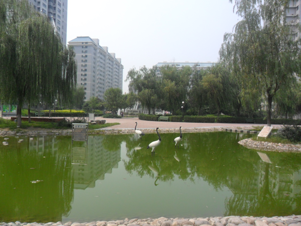 实景图