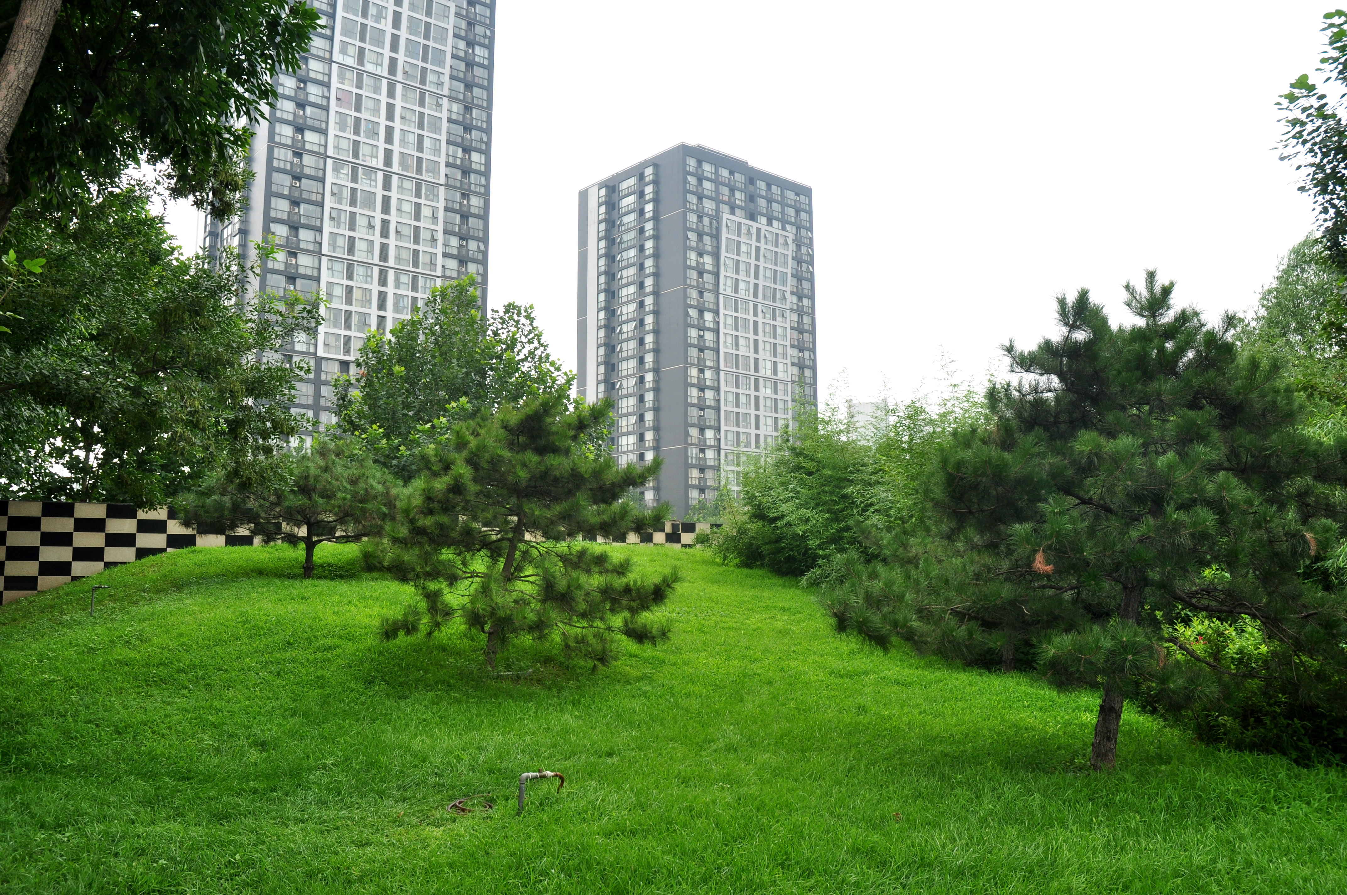 实景图