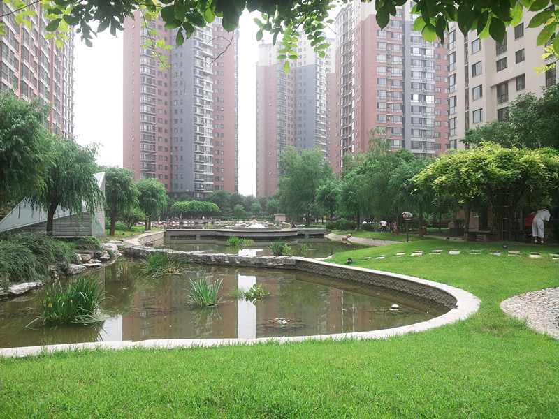 实景图