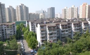 左家庄北里36号楼401室
