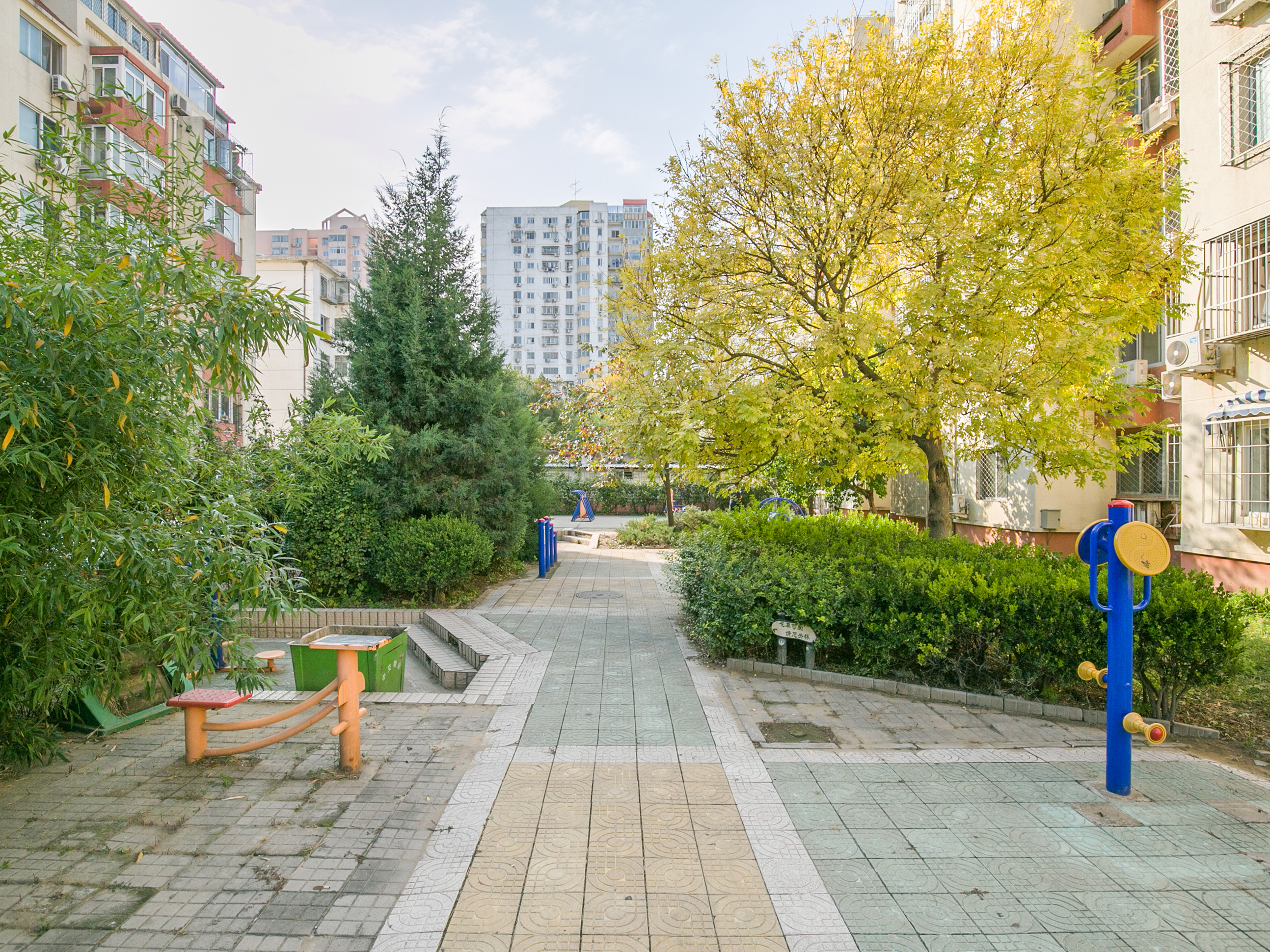 实景图