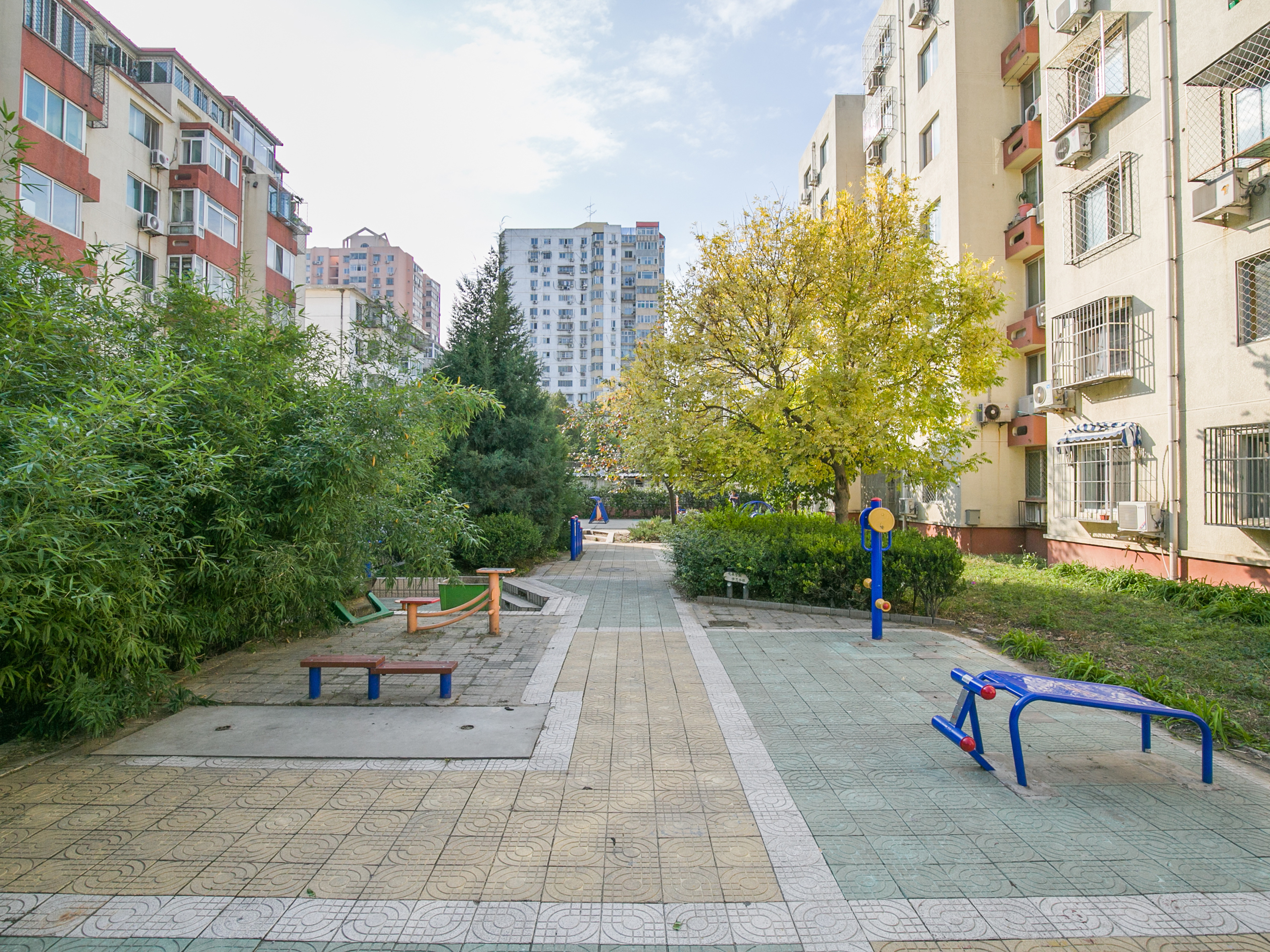 实景图