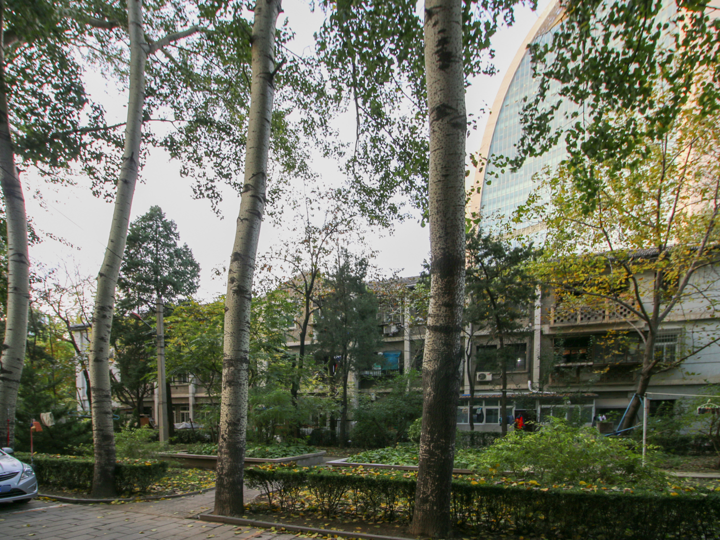 实景图