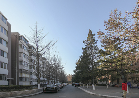 实景图