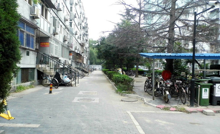 实景图