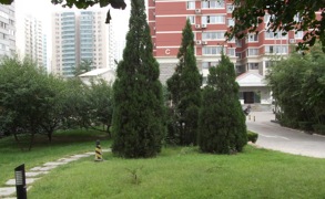 华馨公寓417号楼3单元201室（复式带1车位）