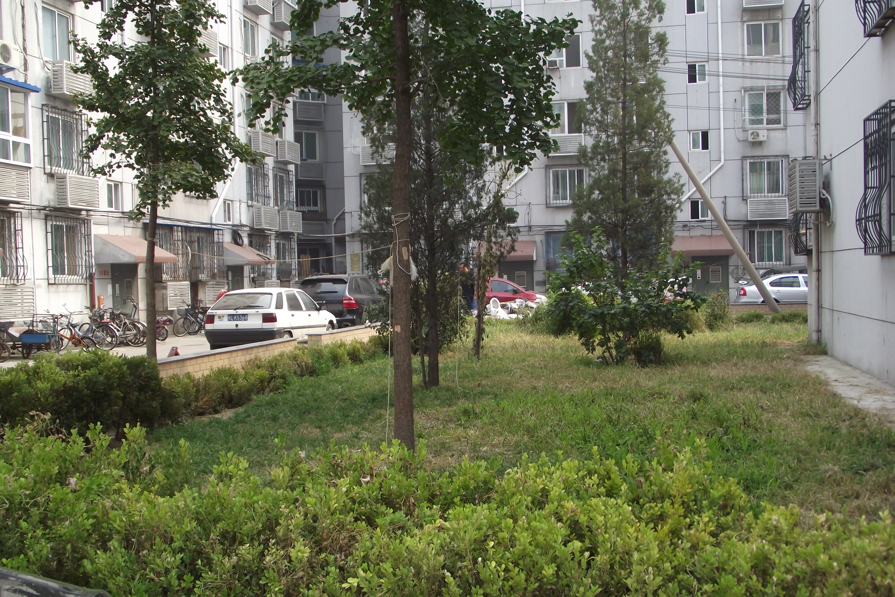林萃路10号院
