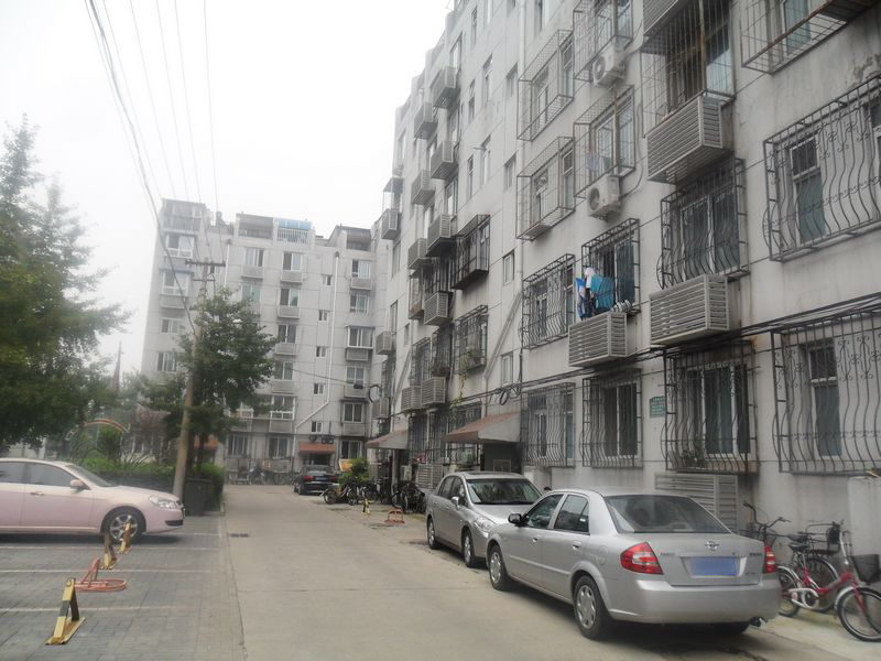 实景图