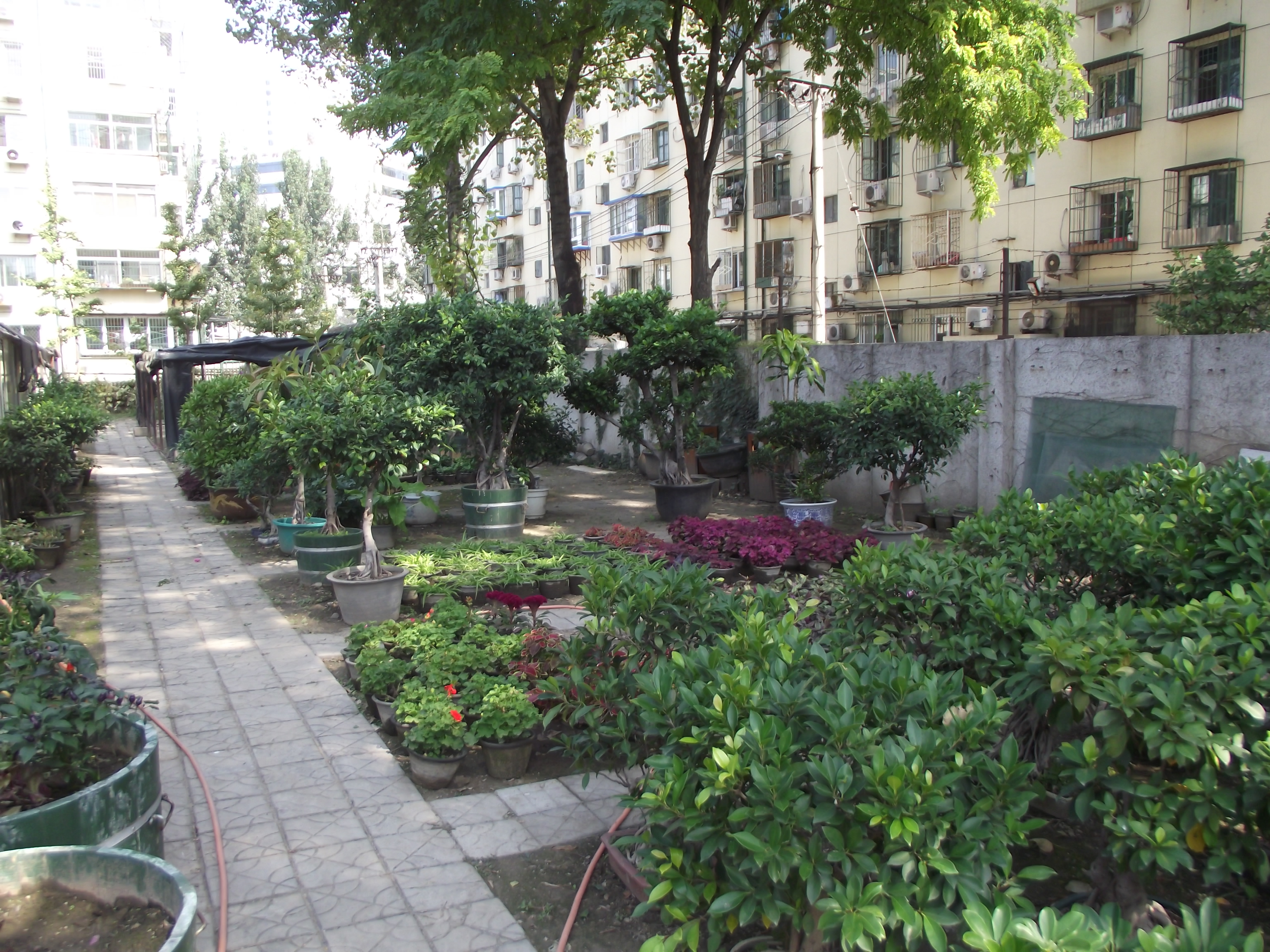 中环南路5号院