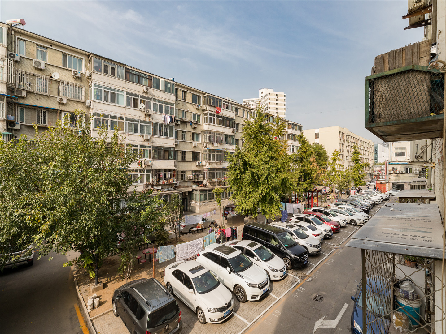 实景图