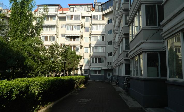 实景图