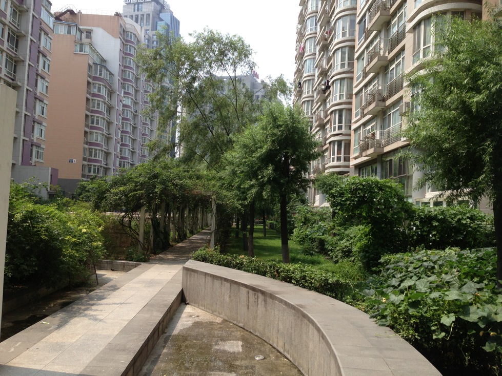 实景图