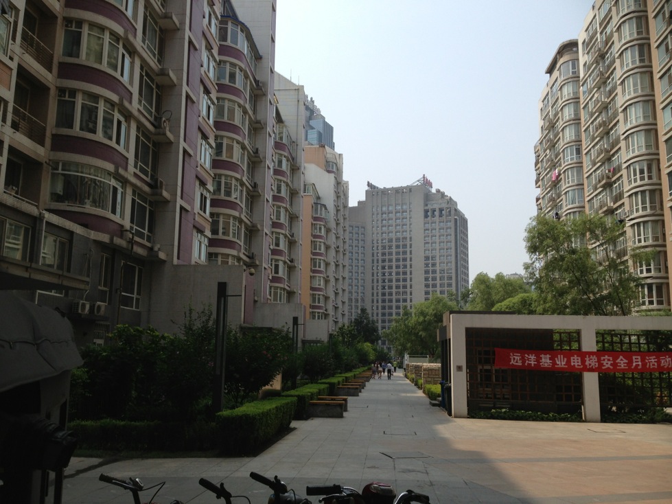 实景图